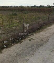 -11194210509_ma67zkuotn8z26q7hyezoc.jpg