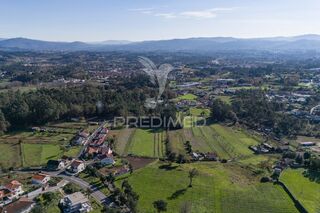 -11194226389_foq164be751jv9axq32dji.jpg