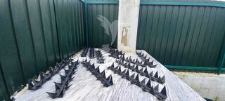 -11194247186_gw6qzbeto8kuizmjvncx.jpg