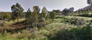 -11938052500_w824lzcvap2pvakku84wr.jpeg