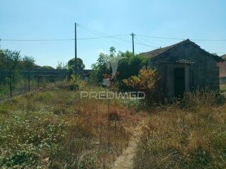 -11938086628_l3xuqncudx9mp2w6duevna.jpg