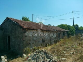 -11938086628_neca4mjg9x4hvof5xgcwt.jpg