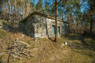 -11939361769_atougsk3ypiag0iix32bma.jpg