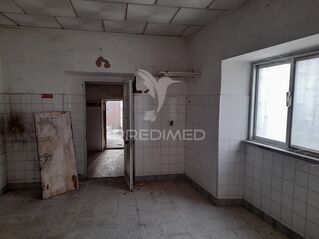 -11945427630_hojr7ytf9bjs7hv19uxvdj.jpg