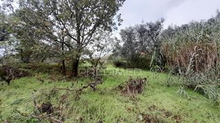 -11945427773_cmqvu7ivks8e06075eljsl.jpg