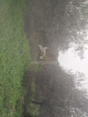 -11946118578_m3hp14bki2h8el8uqdj78d.jpg