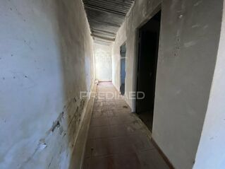 -11962101162_l6kkcp8odagf4l6vyx75ln.jpeg