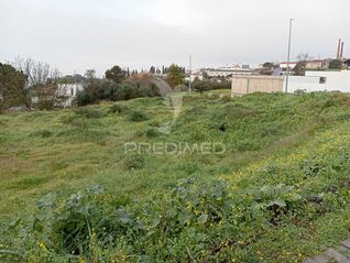 -11962114266_a3wcs4nvj1l6mxnfexfc0a.jpg