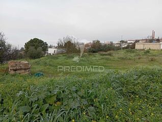 -11962114266_msk6y4mmz57oje729xhj.jpg