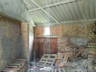 -11971129946_p8jh09x3l9atvyggw0jp1.jpg