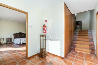 -11971141631_2wz4mg3890lfoir0jx1di.jpg
