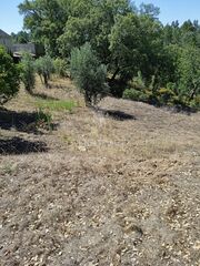 -11971170666_ye7fvcpnjkn9a9an4ic7v6.jpg