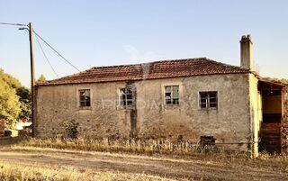-11971170666_zirnjacwe8r3glhwdp8mn.jpg