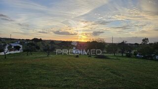 -11971176602_c09yuufajeu6x9xpotkpql.jpg