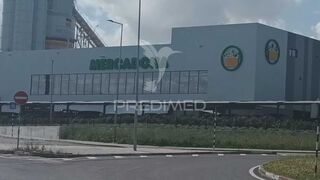 -11971176623_ossunxnbxhf0c4w0gqldma7.jpeg