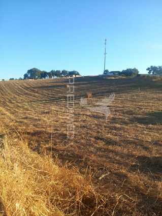 -11971215971_a2jlw0b917kv8gpo7wdas.jpg