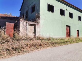-11973044483_s1vx09ippes9a7fr4wzjx.jpeg