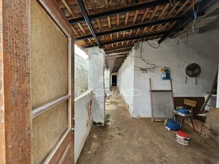 -11973079871_vx1mudqw6wjcvnxx8ij1.jpg