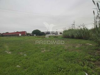 -11974838523_o0r2brn6jbba8cn7hmgyib.jpg