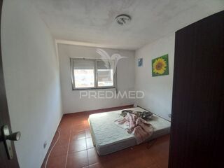 -11987603461_odm3jumk8zl7vtub8makzy.jpg
