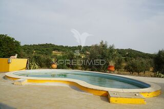 -11994939174_2h08izmnx8h2w55hh5fgrh.jpg