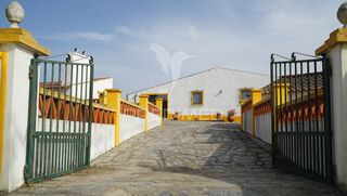 -11994939174_7rup4d6a09p6eg379efq6q.jpg