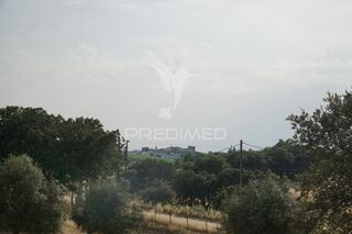 -11994939174_9a7q5tastmeavjqi0piv9p.jpg