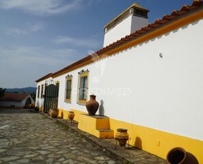 -11994939174_qleuqtcvu1fdjrp786vttm.jpg