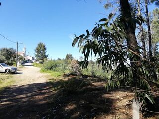 -11995334821_q5mcs0aljwbtoahoye2f8i.jpg