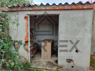 -212962494_ID89889a01-0000-0500-0000-0000157de511.jpg