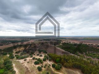 -212962496_IDa8899a01-0000-0500-0000-0000157df281.jpg