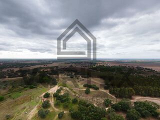 -212962496_IDa8899a01-0000-0500-0000-0000157df284.jpg