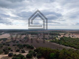 -212962496_IDa8899a01-0000-0500-0000-0000157df2a1.jpg