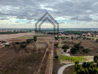 -212962496_IDa8899a01-0000-0500-0000-0000157df2af.jpg
