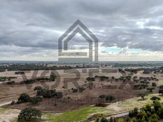 -212962496_IDa8899a01-0000-0500-0000-0000157df2b3.jpg