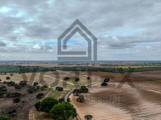 -212962496_IDa8899a01-0000-0500-0000-0000157df2b7.jpg