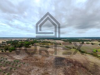 -212962496_IDa8899a01-0000-0500-0000-0000157df2cf.jpg