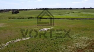 -212962496_IDa8899a01-0000-0500-0000-000015ddd9d9.jpg