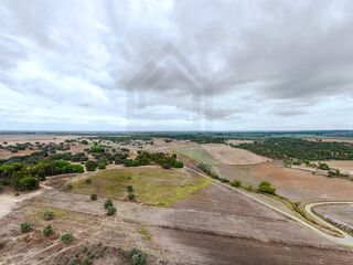 -212962496_IDa8899a01-0000-0500-0000-0000161ae1ad.jpg