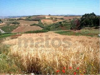-194995870_IDf78e5600-0000-0500-0000-000002bd7539.jpg