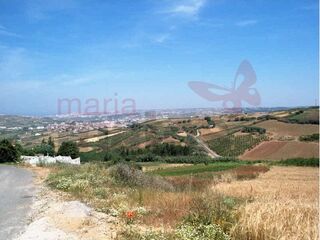 -194995870_IDf78e5600-0000-0500-0000-000002bd753b.jpg