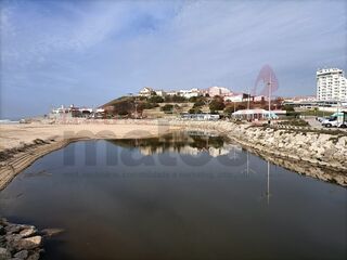 -194995870_IDf78e5600-0000-0500-0000-00000ff163f6.jpg