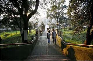 -212563428_IDb5069401-0000-0500-0000-000014f60318.jpg