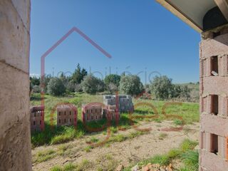 -212762307_IDab399701-0000-0500-0000-0000153e0b51.jpg