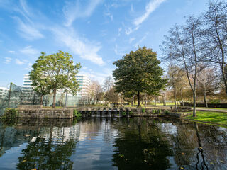 -211590558_ID910a8401-0000-0500-0000-000013fc81bc.jpg