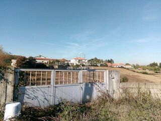 -807260976_IDce208000-0000-0500-0000-0000043d9f8b.jpg