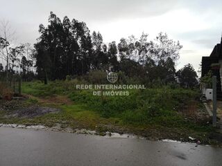 -818031314_ID358e3801-0000-0500-0000-00000daedb62.jpg