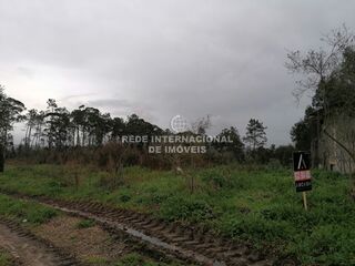 -818031314_ID358e3801-0000-0500-0000-00000db87e35.jpg