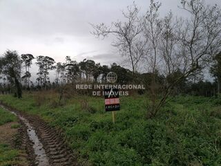 -818031314_ID358e3801-0000-0500-0000-00000db87e37.jpg
