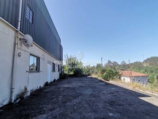 -819643729_ID60575a01-0000-0500-0000-00000fd8a0e9.jpg